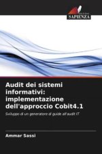 Audit dei sistemi informativi: implementazione dell'approccio Cobit4.1