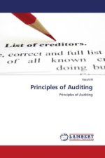 Principles of Auditing
