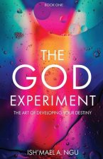 The God Experiment: The Art of Developing Your Destiny