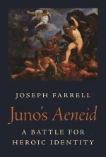 Juno′s Aeneid – A Battle for Heroic Identity