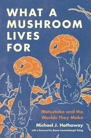 What a Mushroom Lives For – Matsutake and the Worlds They Make
