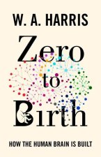 Zero to Birth – How the Human Brain Is Built