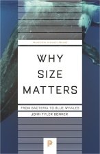 Why Size Matters – From Bacteria to Blue Whales
