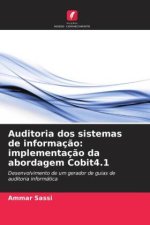 Auditoria dos sistemas de informação: implementação da abordagem Cobit4.1