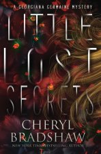 Little Lost Secrets