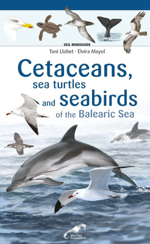 CETACEANS SEA TURTLES AND SEABIRDS ON THE BALEARIC SEA