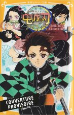Demon Slayer - Roman jeunesse T01