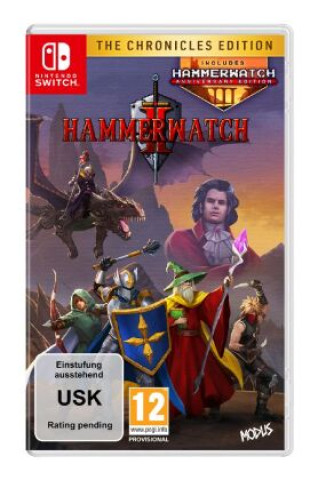 Hammerwatch 2, 1 Nintendo Switch-Spiel (Chronicles Edition)
