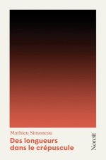 DES LONGUEURS DANS LE CREPUSCULE