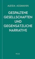 Gespaltene Gesellschaften und gegensätzliche Narrative