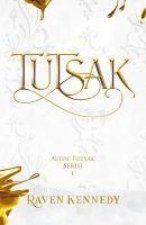 Tutsak Ciltli