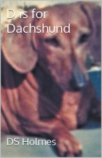 D is for Dachshund