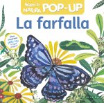 farfalla. Scopri la natura pop-up