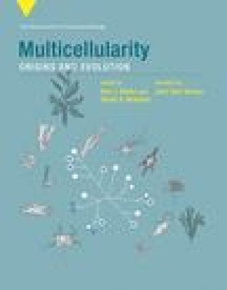 Multicellularity: Origins and Evolution