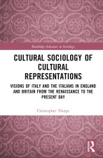 Cultural Sociology of Cultural Representations