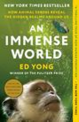 IMMENSE WORLD