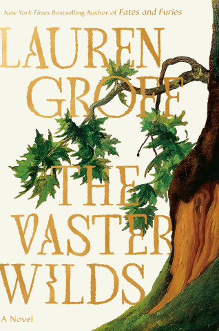 VASTER WILDS