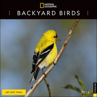 CAL 24 NATIONAL GEOGRAPHIC BACKYARD BIRD