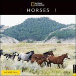 CAL 24 NATIONAL GEOGRAPHIC HORSES 2024
