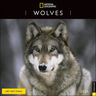 CAL 24 NATIONAL GEOGRAPHIC WOLVES 2024