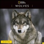 CAL 24 NATIONAL GEOGRAPHIC WOLVES 2024