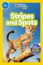NGK RDR STRIPES & SPOTS