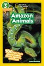 NGK RDR AMAZON ANIMALS