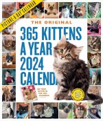 CAL 24 365 KITTENS A YEAR PICTURE A DAY