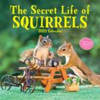 CAL 24 SECRET LIFE OF SQUIRRELS