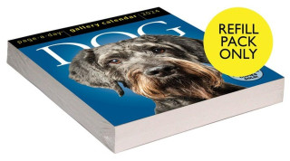 CAL 24 DOG PAGE A DAY GALLERY REFILL PAC