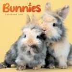 CAL 24 BUNNIES WALL CALENDAR