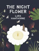 NIGHT FLOWER BLOOMING OF SAGUARO CACTUS