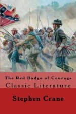 Red Badge of Courage : Classic Literature
