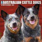 CAL 24 AUSTRALIAN CATTLE DOGS