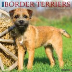 CAL 24 BORDER TERRIERS