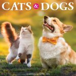 CAL 24 CATS & DOGS