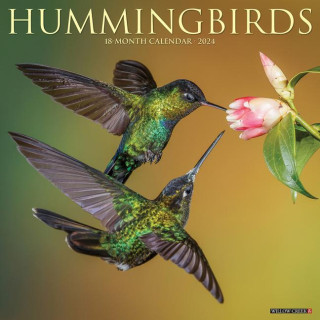 CAL 24 HUMMINGBIRDS
