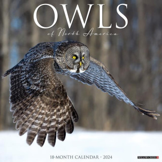 CAL 24 OWLS