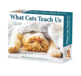 CAL 24 WHAT CATS TEACH US