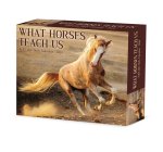 CAL 24 WHAT HORSES TEACH US