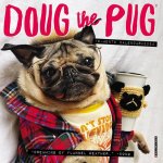 CAL 24 DOUG THE PUG