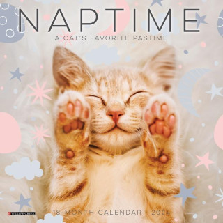 CAL 24 NAPTIME CATS