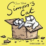 CAL 24 SIMONS CAT