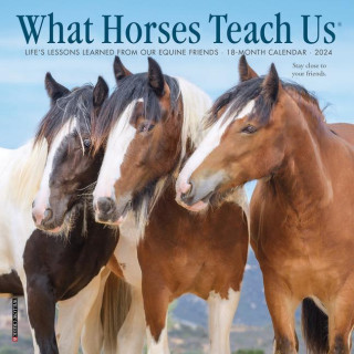 CAL 24 WHAT HORSES TEACH US