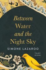 Between Water and the Night Sky