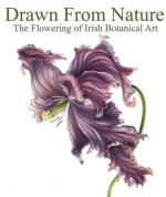 Drawn From Nature