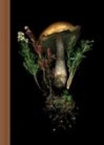 DEEP DARK FOREST MUSHROOM JOURNAL