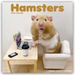 CAL 24 HAMSTERS WALL CALENDAR