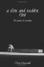 A Slow and Sudden God: 40 years of Wonder