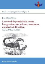 Le recueil de prophylaxie contre les agressions des animaux venimeux du Musee de Brooklyn: Papyrus Wilbour 47.218.138